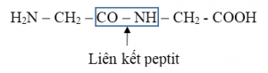 liên kết peptide
