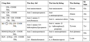 Lý Thuyết Amino Axit: Các Gọi Tên, Tính Chất Hóa Học, ứng Dụng