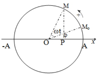 Ứng dụng vòng tròn lượng giác – Giải 5 dạng toán trong dao động điều hòa Cập Nhật 02/2024